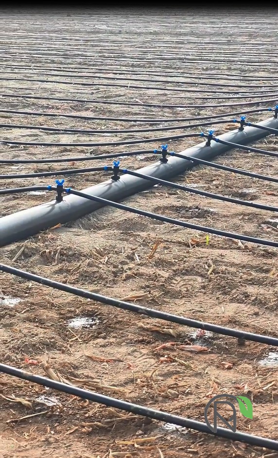 小流量滴灌帶優缺點